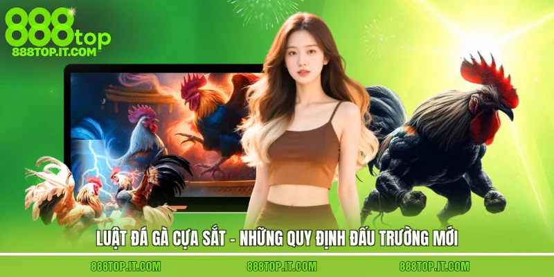 luật đá gà cựa sắt
