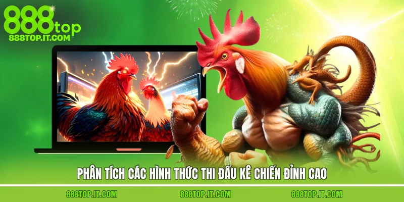 Phân tích các hình thức thi đấu kê chiến đỉnh cao