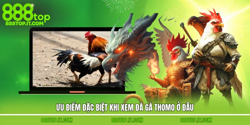 Ưu điểm đặc biệt khi xem đá gà thomo ở đâu